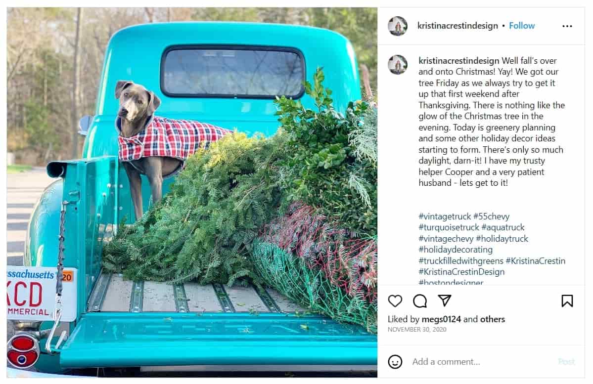 Image of Kristina Crestin's Instagram post of her dog